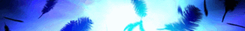 NetObjects Fusion 12.0